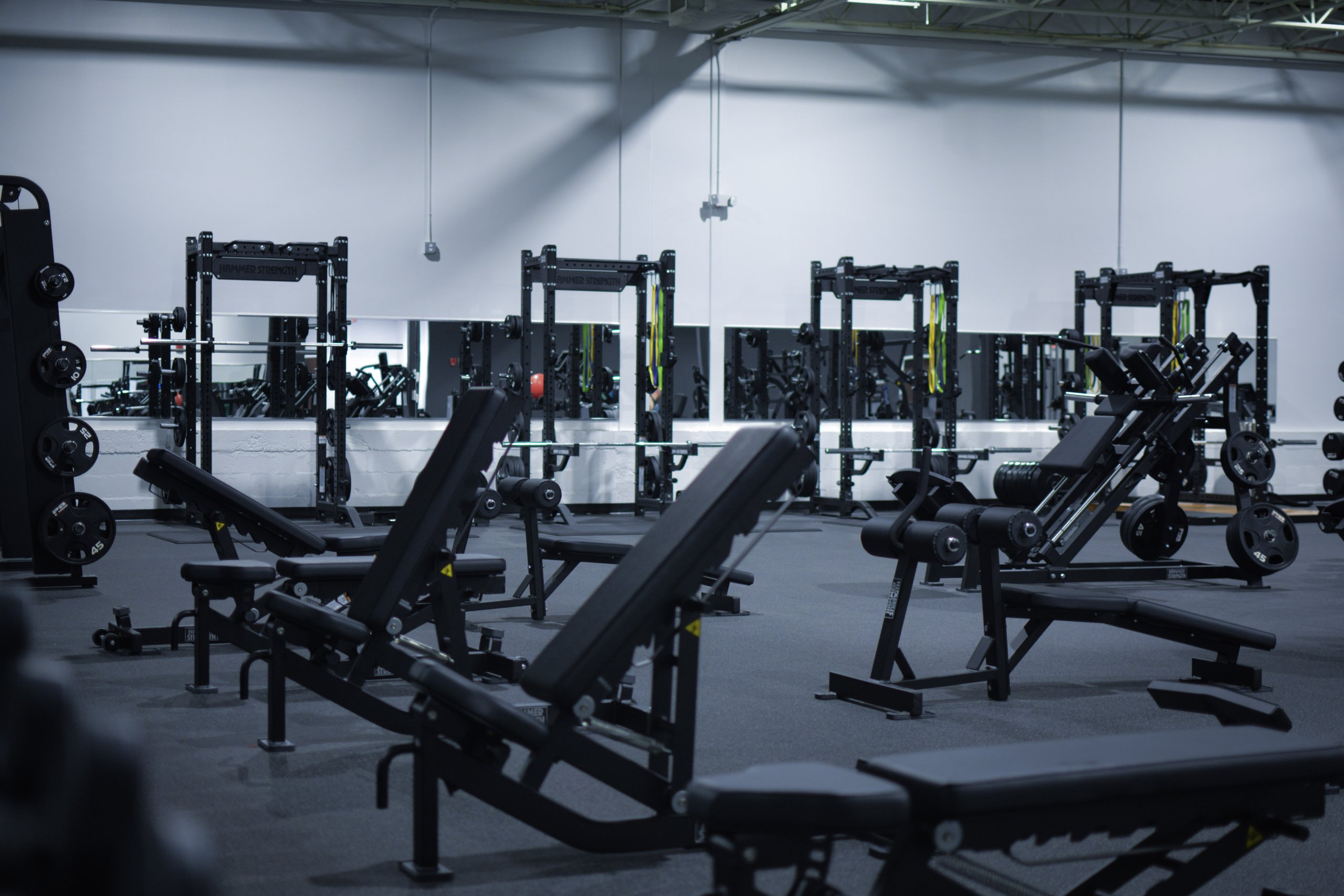 Gimnasio Laurel