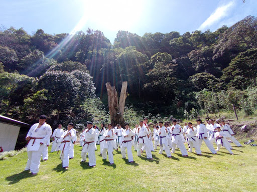 Tora Dojo Boquete