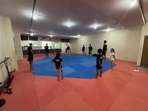 BZK PERFORMANCE TAEKWONDO