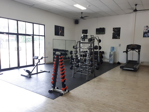 Zima Gym