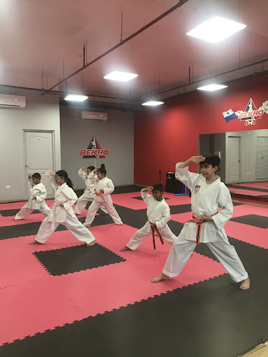 Taekwondo Bekho Lefevre 75