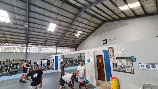 Gimnasio Pedro "Rockero" Alcázar