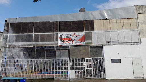 Centro de artes marciales y actividades deportivas NICK PANAMA