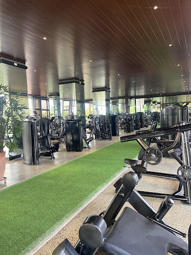 Pedro Gill Gym