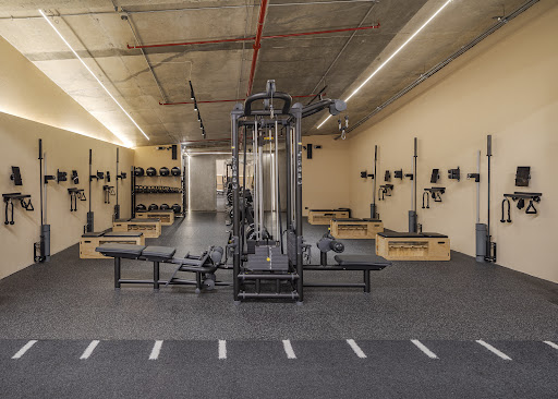 The Lab Vitality Club | Costa del Este