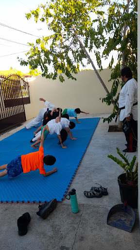 Academia Taekwondo de Chitré Centro de Combate Sión Cohen