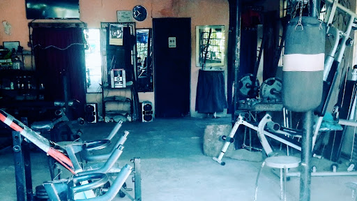 Alkaios GYM