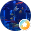 Acuario Oriental y Tropicales