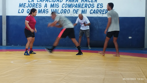 Gimnasio Emiliano Bethancourth