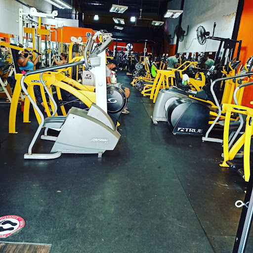 Gimnasio the big power