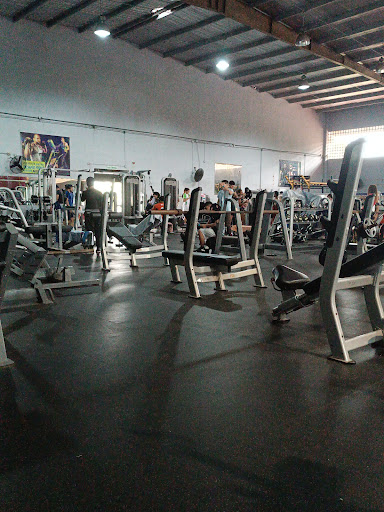Gimnasio Universitario