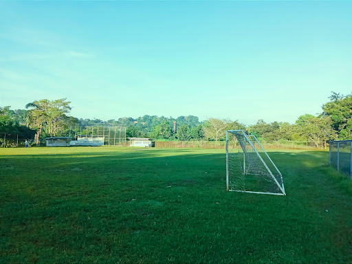 Cuadro de Béisbol 7 de Septiembre