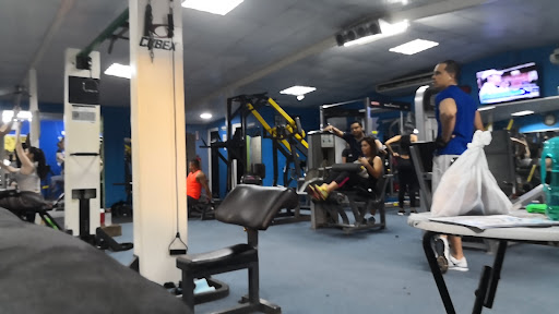 Master Gym