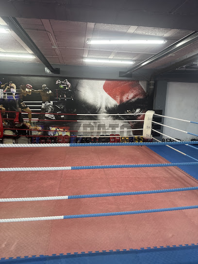 Opinión Kratos Gym: Reseña Real y Resultados