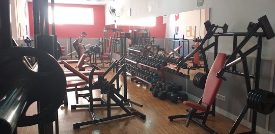 Opinión Iron Body Gym: Experiencia y Valoraciones Reales