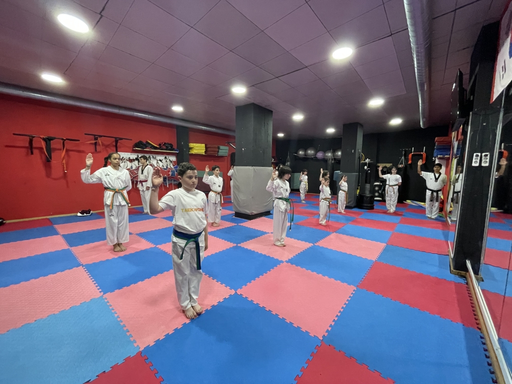 Opinión de Body Mind Dojo 1 Opinión Body Mind Dojo: Reseña Detallada y Experiencia Real