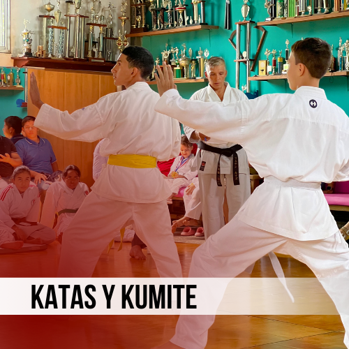 Opinión Academia Karate UNSU La Chorrera: Reseña Escuela Artes Marciales
