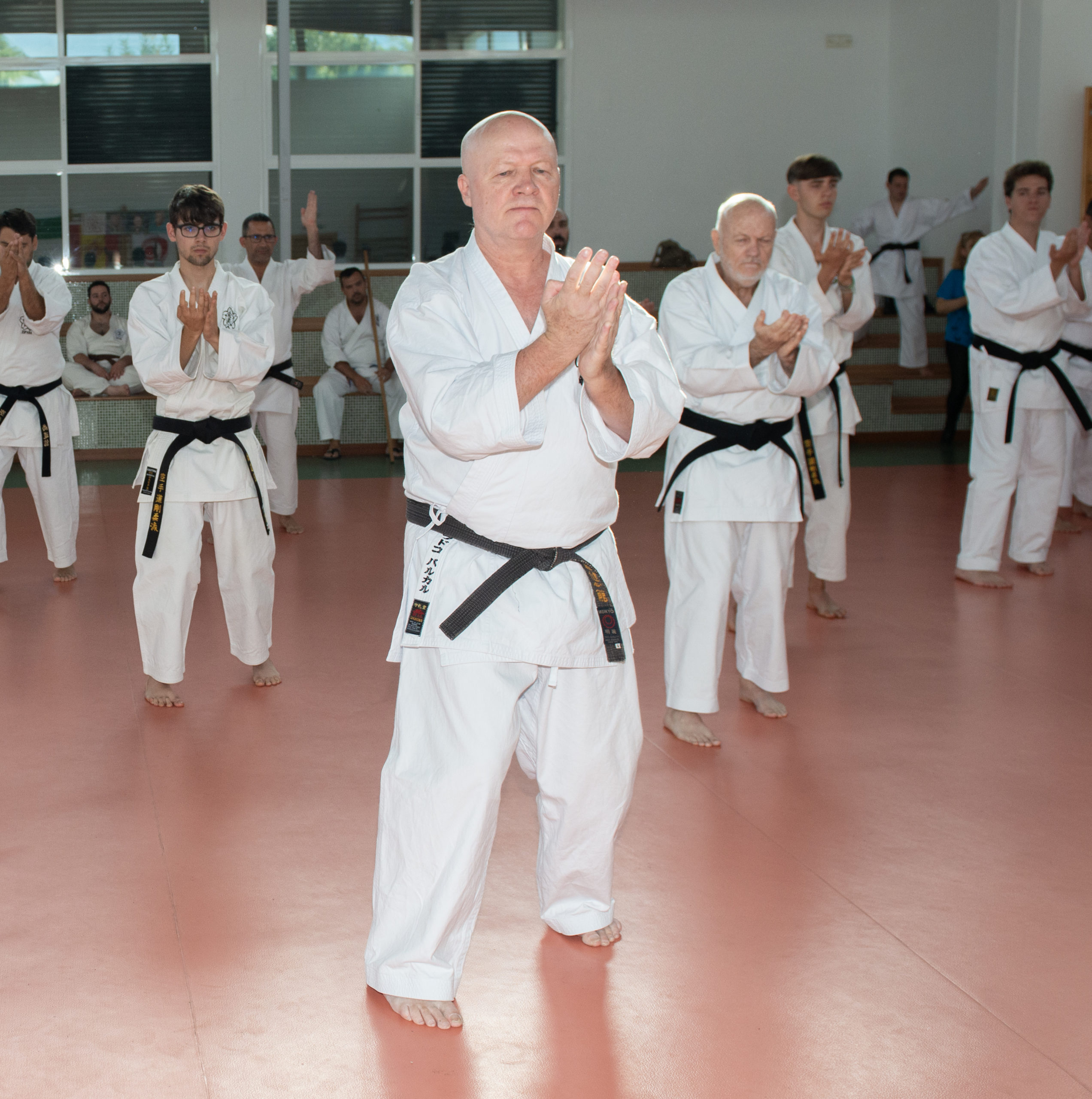 Opinión Escuela de Karate Goju Ryu: Experiencia Real y Recomendaciones