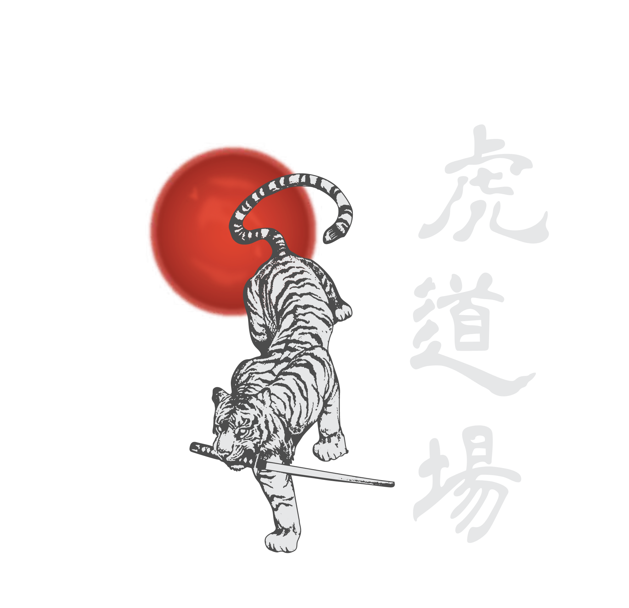 Opinión Tora Dojo Boquete: Experiencia Real y Recomendaciones