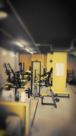 Opinión Honesta de El Gym del Flow – Review Real 2024