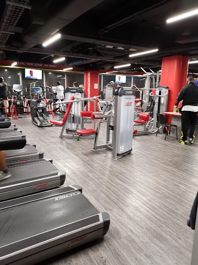 Opinión de GYM LATINO: opiniones reales sobre gimnasios latinos en EE.UU.