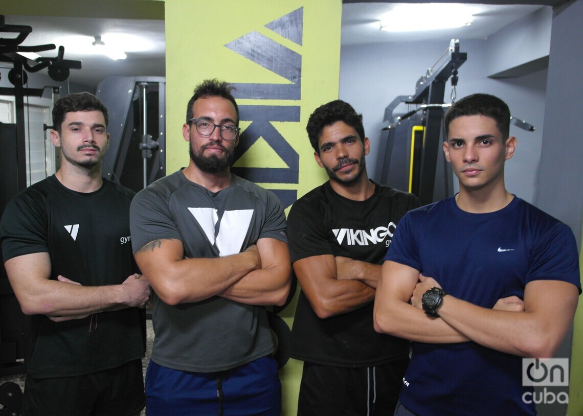 Opinión de Vikingo's House Gym 1 Opinión de Vikingo’s House Gym: Gimnasio en Casa para Entrenamiento Profesional
