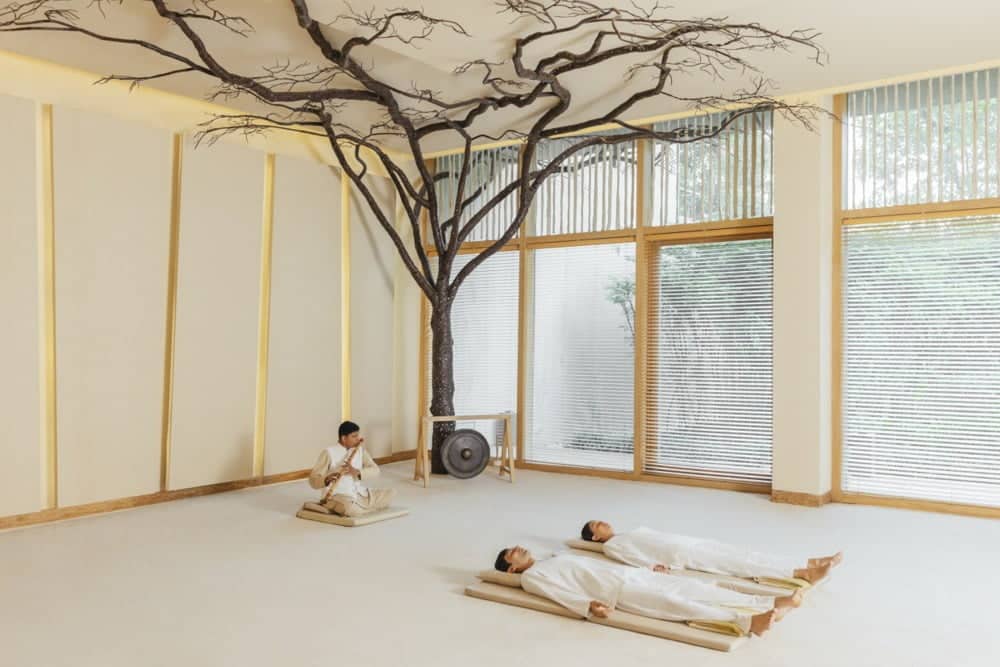 Opinión de Six Senses Om | Ayurveda & Yoga Panama 1 Opinión de Six Senses Om: Ayurveda y Yoga en Panamá