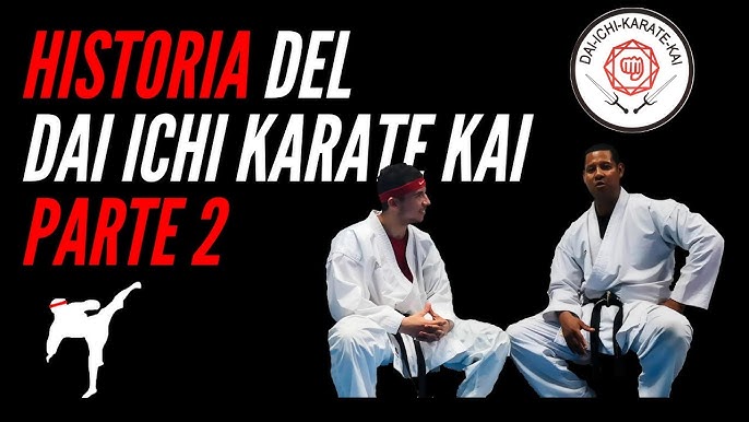 Opinión Academia Karate Dai-ichi Karate Kai Soná: reseña y experiencia real