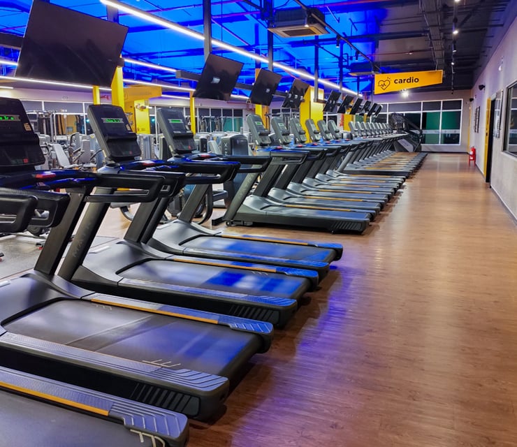 Gimnasios en Arraiján: Los Mejores para Entrenar 2024